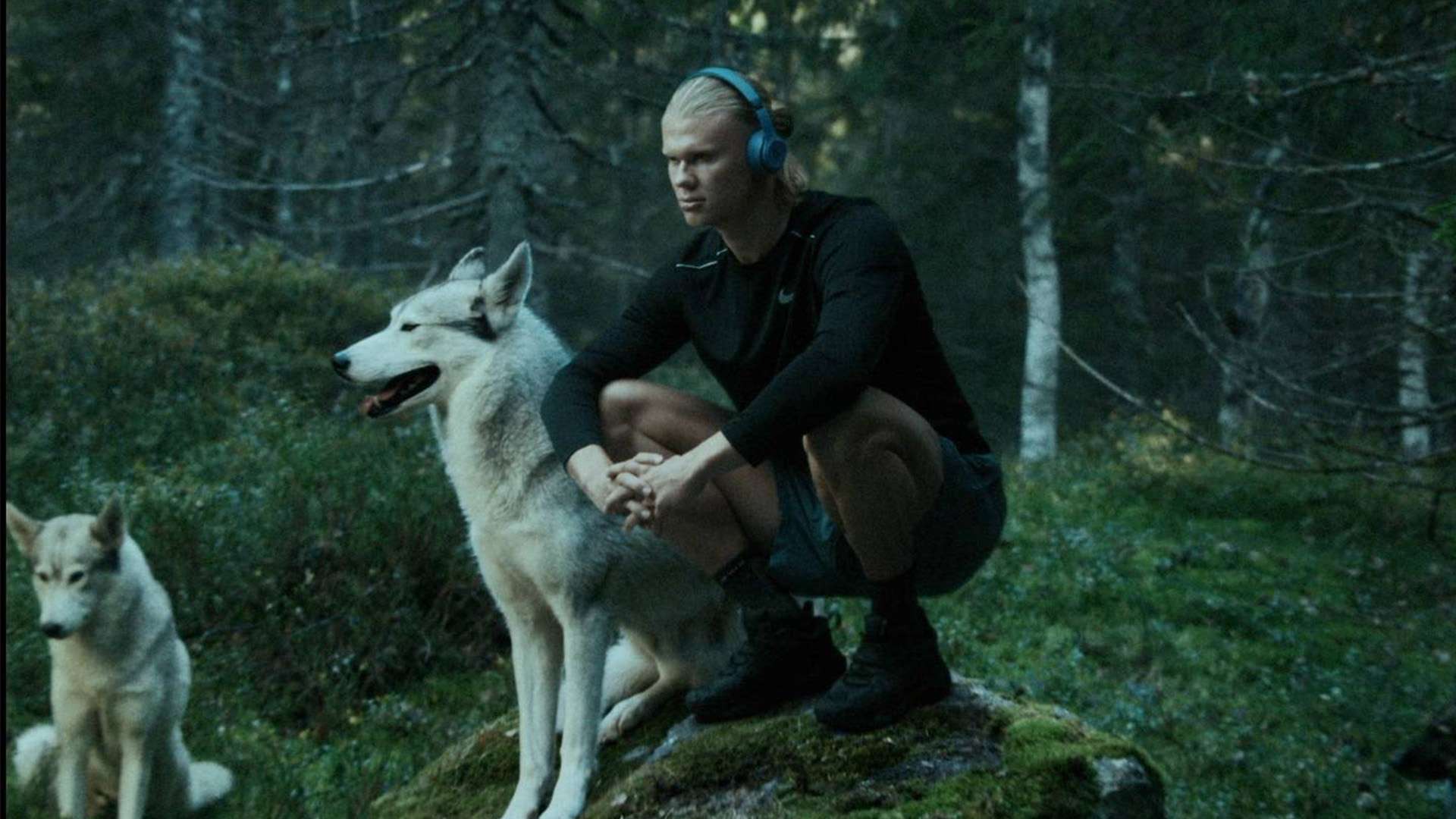 之巅峰期有 之巅峰期有